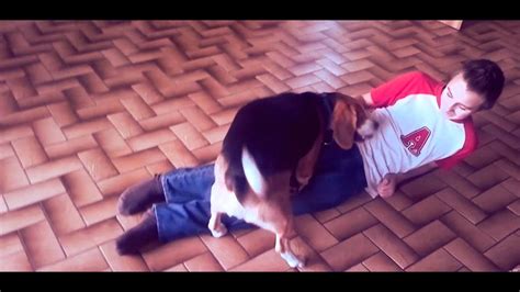 sex porno mit hund|Pornofolm frau fickt mit hund xVideo